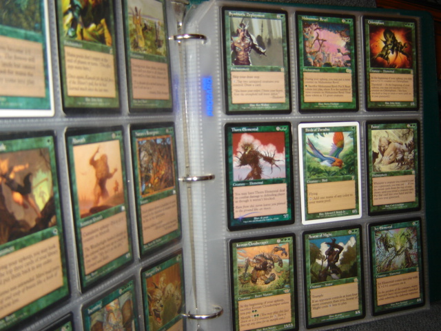 Sports Card Storage vs Binders: Which Is Better for Collectors?